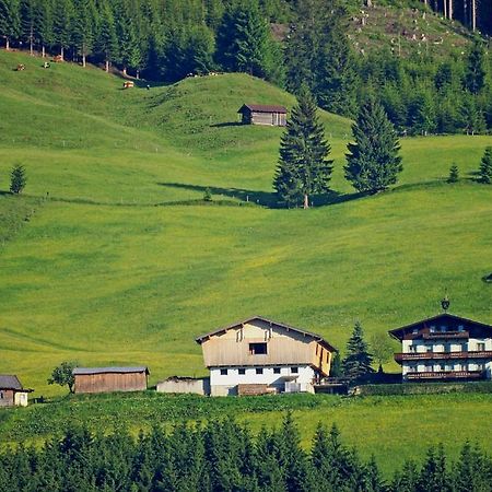 Ferienhaus Hochwimmer Голлерсбах-ім-Пінцґау Екстер'єр фото