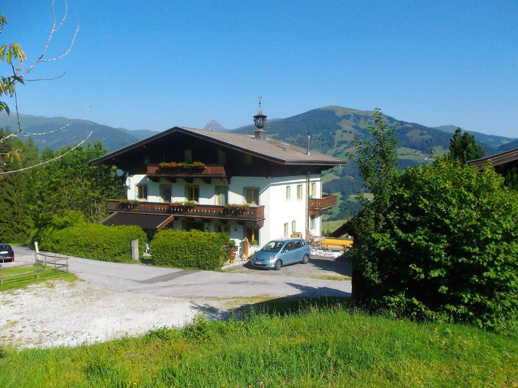 Ferienhaus Hochwimmer Голлерсбах-ім-Пінцґау Екстер'єр фото