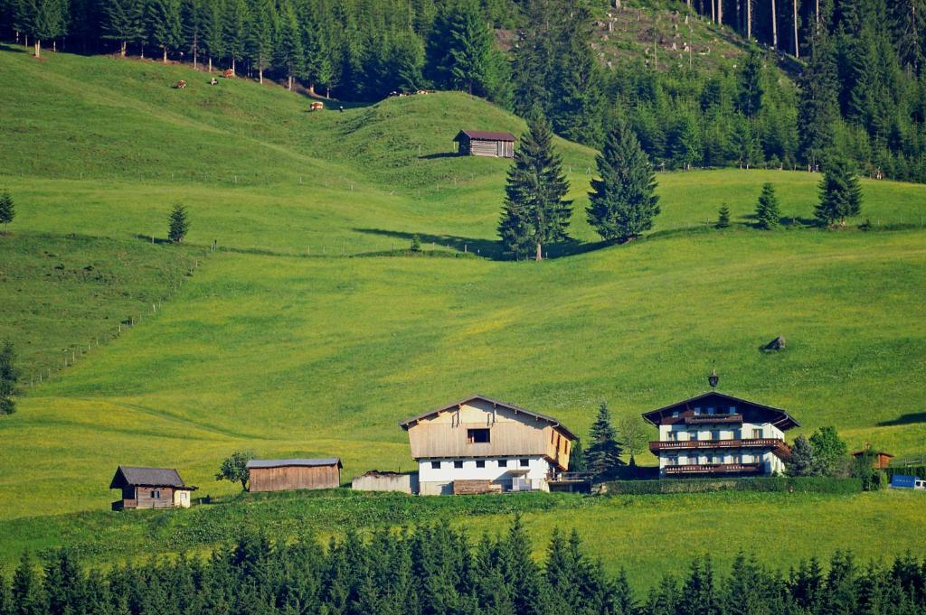 Ferienhaus Hochwimmer Голлерсбах-ім-Пінцґау Екстер'єр фото